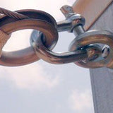 Stainless Steel D – shackle